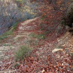 Covalagua8
