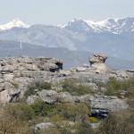 Las Tuerces La Mesa