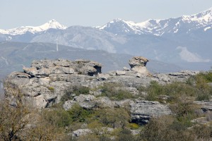 Las Tuerces La Mesa
