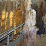 Inauguración Cueva de los Franceses Inauguración Cueva de los Franceses