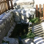 Fuente
